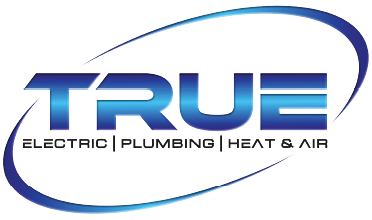 TRUE Logo with ellipse